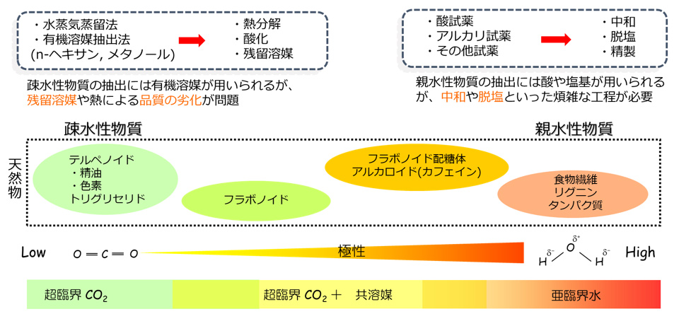 従来の抽出技術と問題点